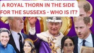 Princess Anne’s Independence Raises Questions on Harry and Meghan’s Security Needs