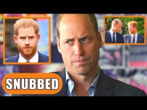 Royal Drama Unfolds: Prince William Snubs Brother Harry’s Attempts at Reconciliation