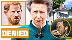 Royal Drama Unfolds: Harry and Meghan’s Turbulent Tale