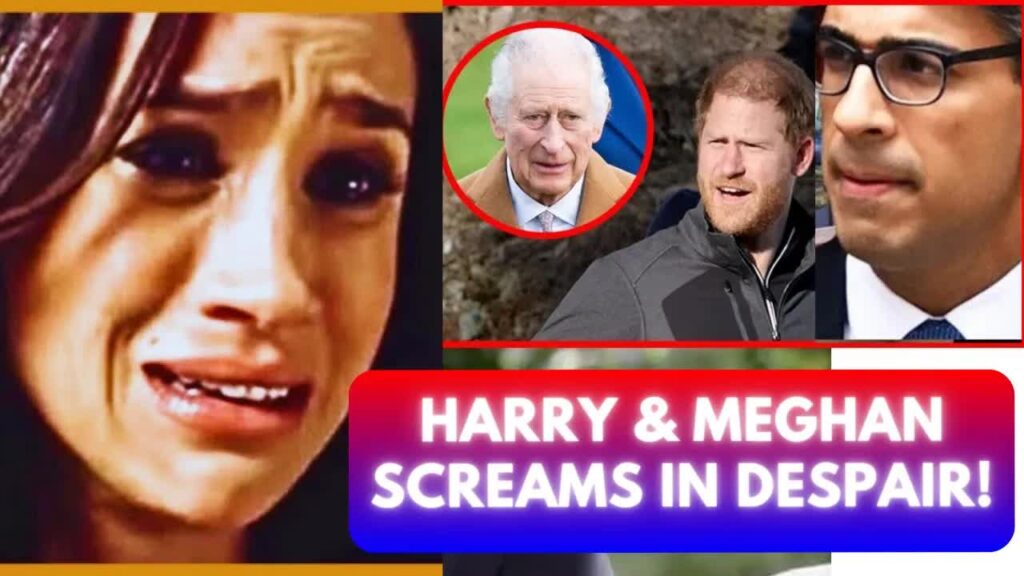 Royal Family Drama Unveiled: The Betrayal Of Meghan Markle And Prince ...