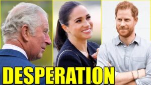 Royal Drama Unfolds: Prince Harry Faces Uncertain Future