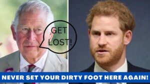 **Royal Shake-Up: Prince Harry’s Role in the Royal Family**