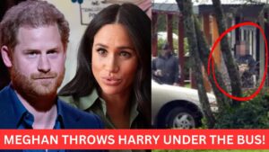 Prince Harry Faces Visa Trouble Over Drug Admission
