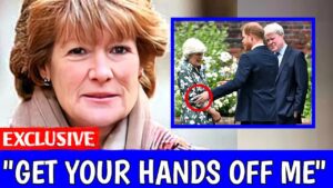 Tense Reunion: Prince Harry’s Dramatic Encounter with Aunt Lady Jane at Invictus Games’ 10th Anniversary