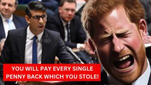 Prince Harry’s Tax and Visa Saga: A Royal Rollercoaster