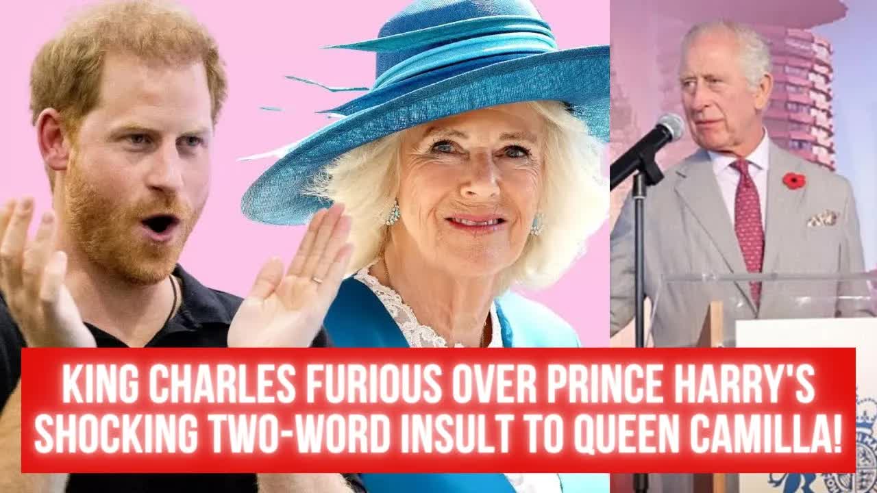 The Reopened Chapter: What Harry’s Revelations Mean For Queen Camilla’s Hard-won Role