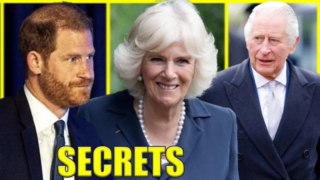 Royal Family Drama Harry’s Memoir Unleashes a Storm Over Camilla