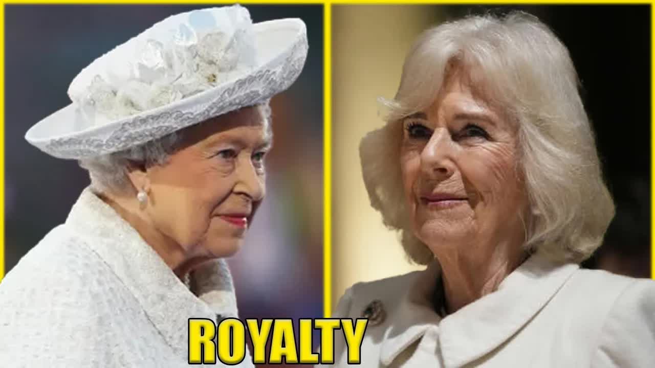 Queen Camilla From Scandal to Social Change History Archive