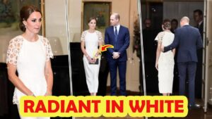 Katherine Shines Bright at Government House Cocktail Reception