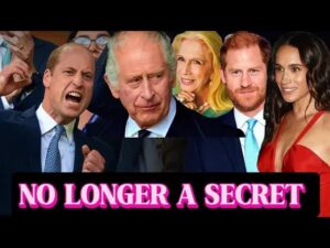 A Royal Rift: The Sussexes and the Palace’s Alleged Strategy