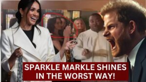 Meghan Markle’s Partying Ways: A Royal Contrast