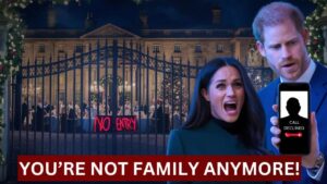 Royal Rift Deepens: King Charles Draws the Line with Harry and Meghan