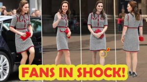 Princess of Wales Dazzles at Victoria and Albert Museum Opening