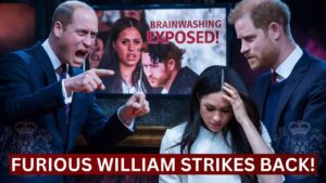 Royal Rift: The Heartbreaking Tale of William and Harry