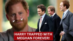 Harry’s Heartstrings: The Struggle Between Friendship and Manipulation
