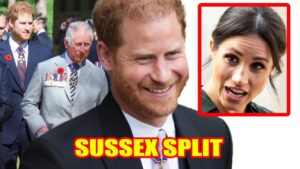 Meghan Markle’s Holiday Drama: A Christmas Party Without Her