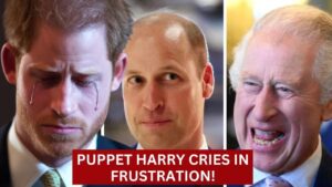 Prince Harry at a Crossroads: Will He Choose Family Over Fame?