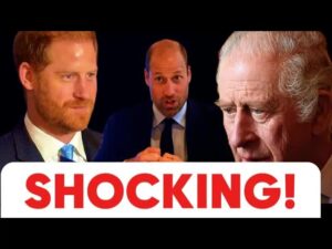 A Royal Rift: Prince Harry’s Humanitarian Journey and the Monarchy’s Struggle