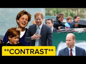 Royal Rift: William and Harry’s Divergent Paths on Diana’s Legacy