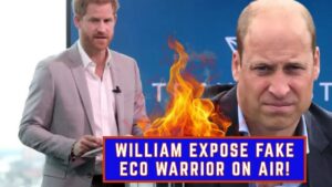 Prince Harry’s Climate Award Sparks Outrage: Is It All Just PR?