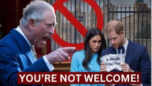 Harry and Meghan’s Royal Comeback: A Proposal Too Far?