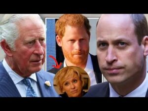 A Rift in Royal Bonds: The Strained Brotherhood of Harry and William