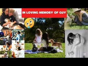 In Loving Memory of Guy: A Heartfelt Tribute to a Loyal Companion