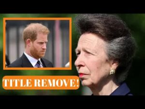 Princess Anne Strips Prince Harry of His Royal Highness A Clear Signal from the Monarchy